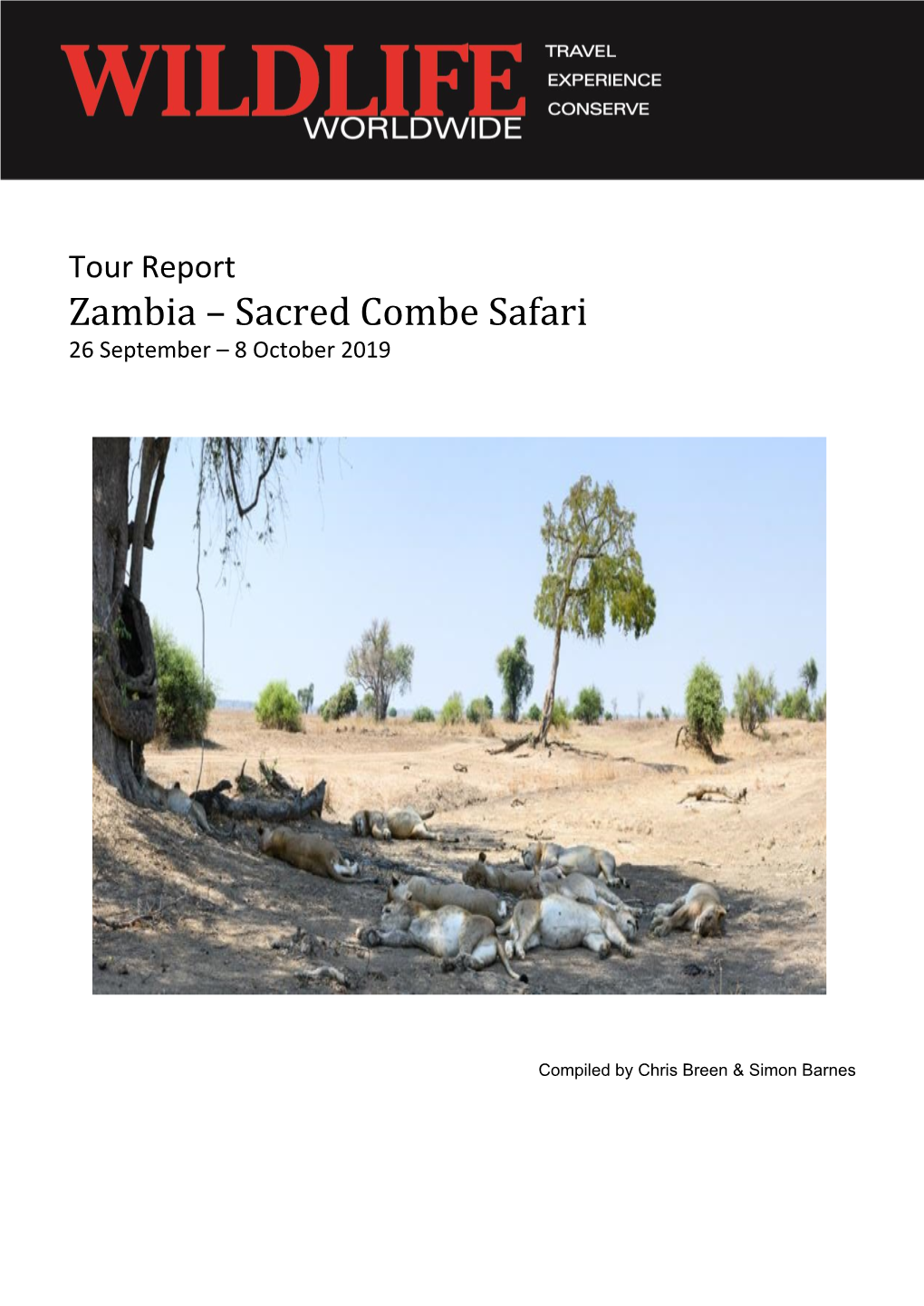 October 2019 Tour Report Sacred Combe Safari