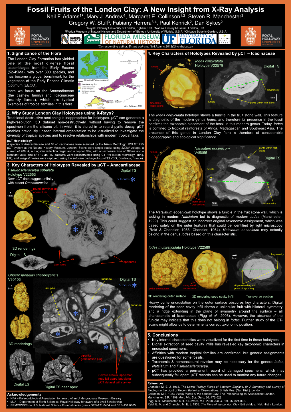 Fossil Fruits of the London Clay: a New Insight from X-Ray Analysis Neil F