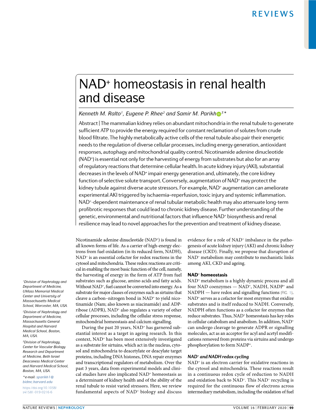NAD+ Homeostasis in Renal Health and Disease