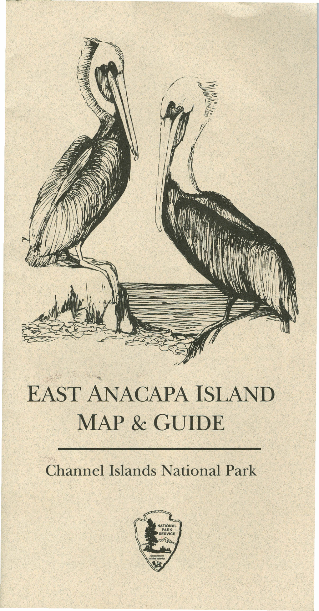 East Anacapa Island Map & Guide