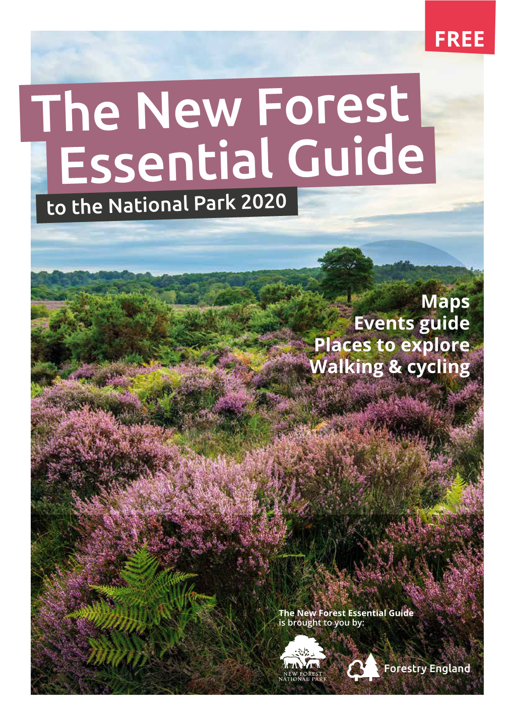 The New Forest Essential Guide to the National Park 2020