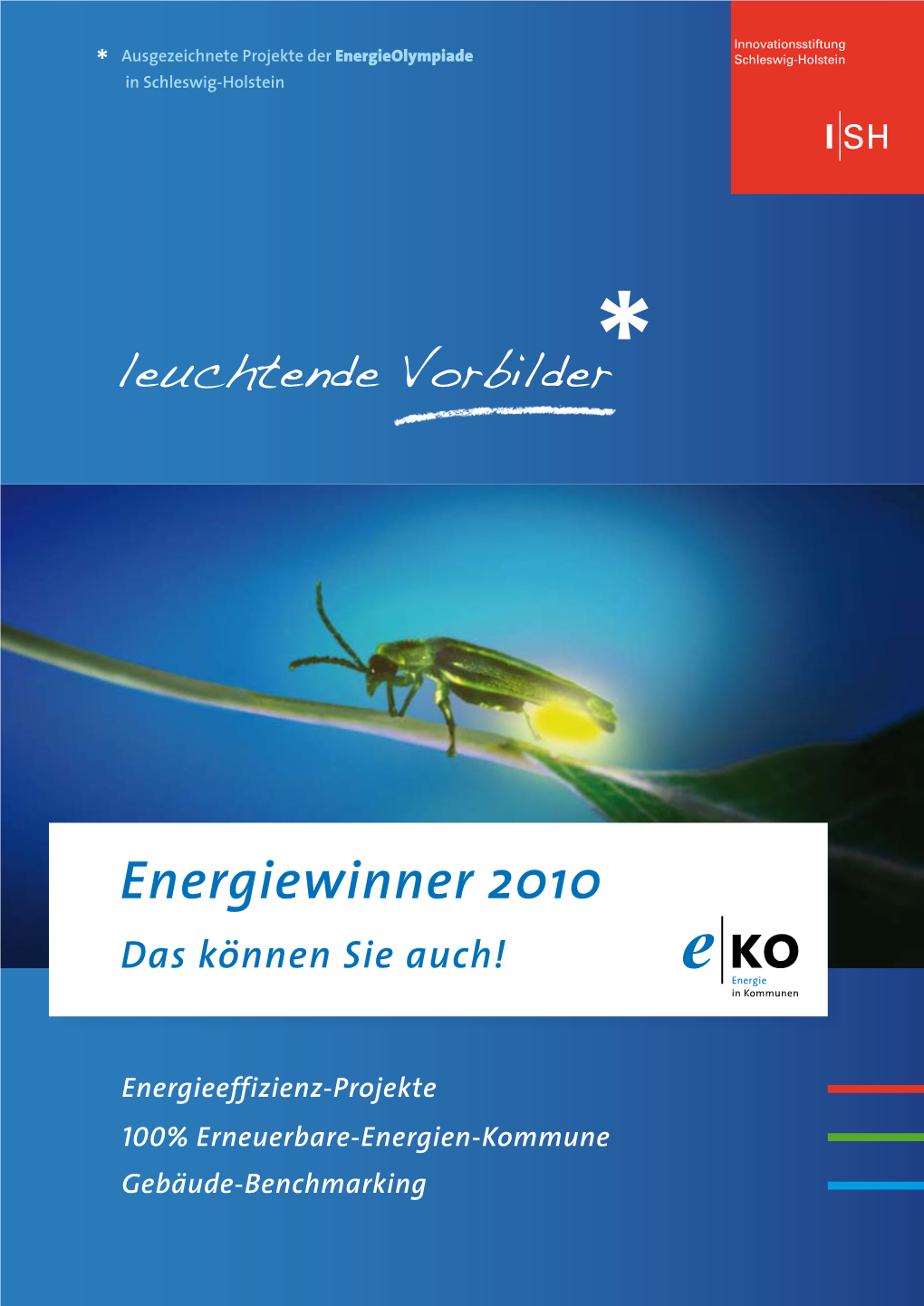 Energiewinner 2010 Das Können Sie Auch! Energie in Kommunen