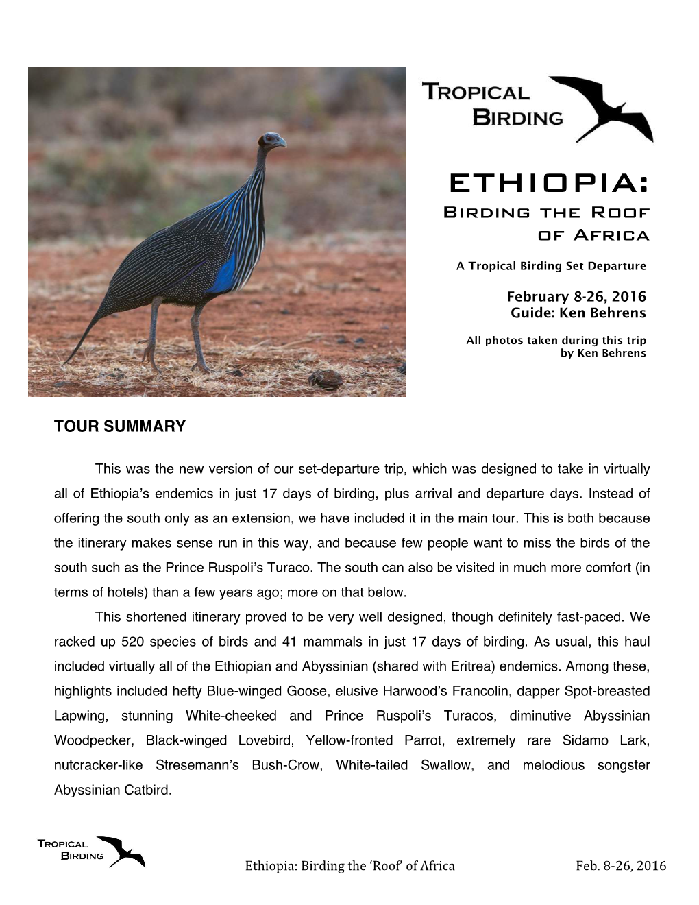 ETHIOPIA: Birding the Roof of Africa