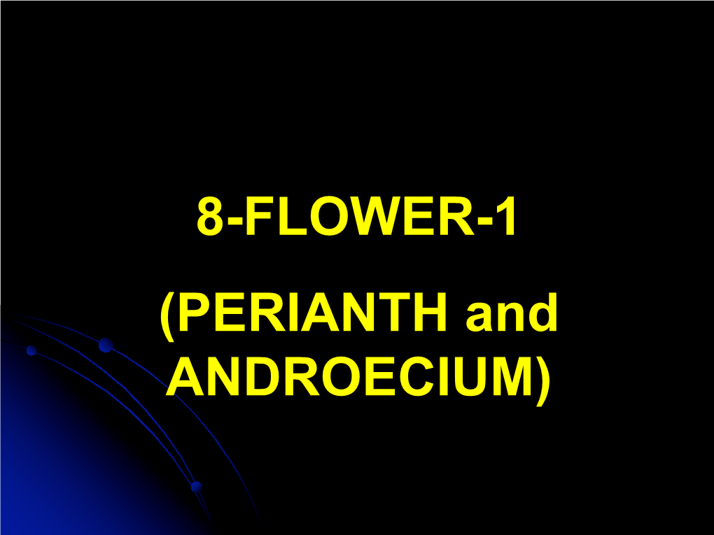 8-FLOWER-1 (PERIANTH and ANDROECIUM) 1