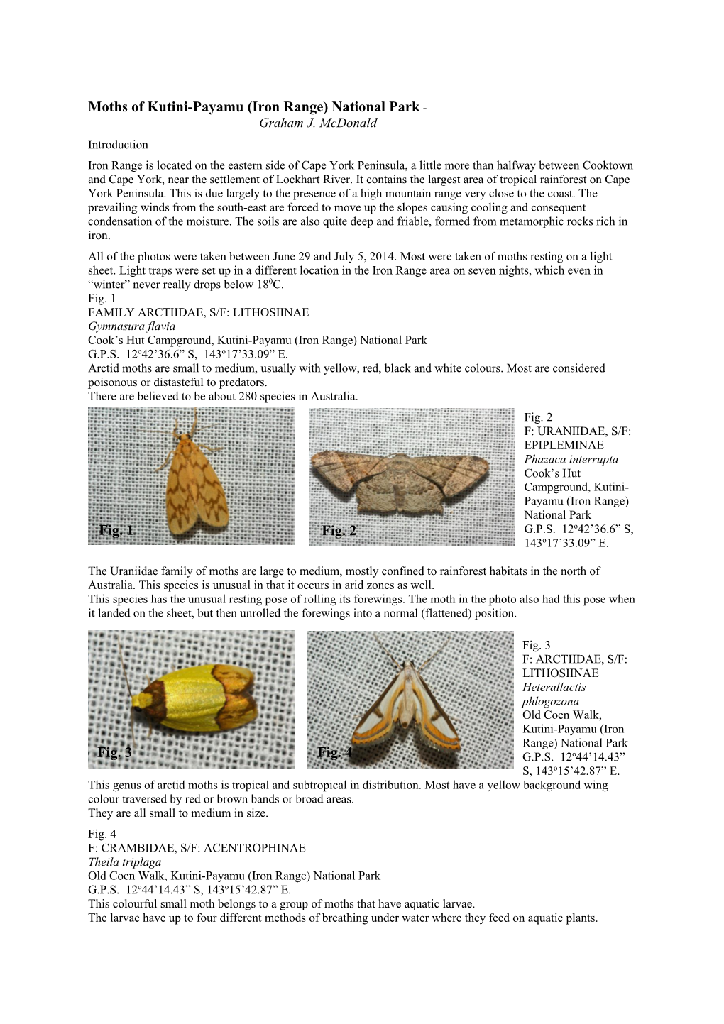 Moths of Iron Range