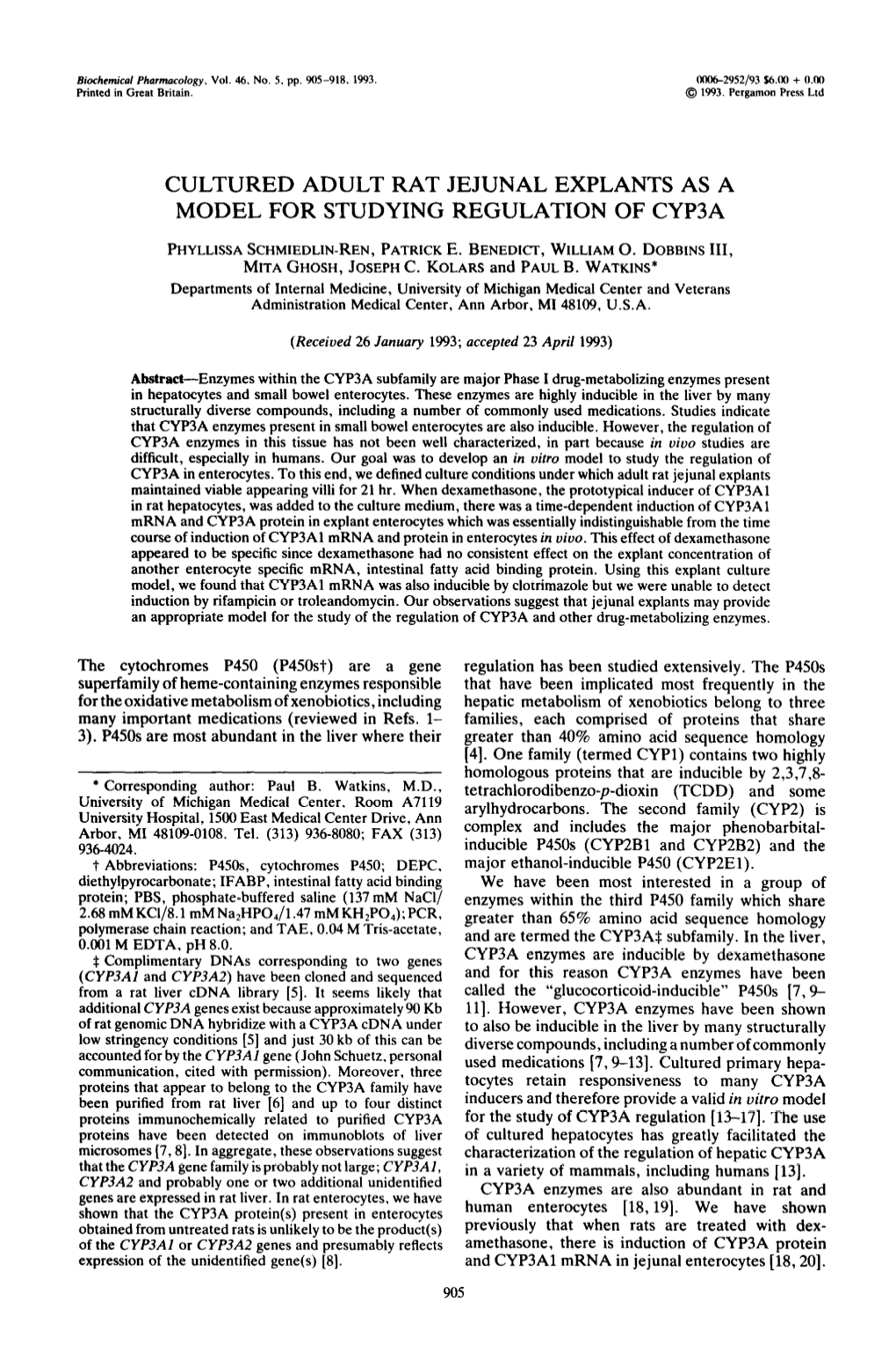 Cultured Adult Rat Jejunal Explants As a Model for Studying Regulation of Cyp3a