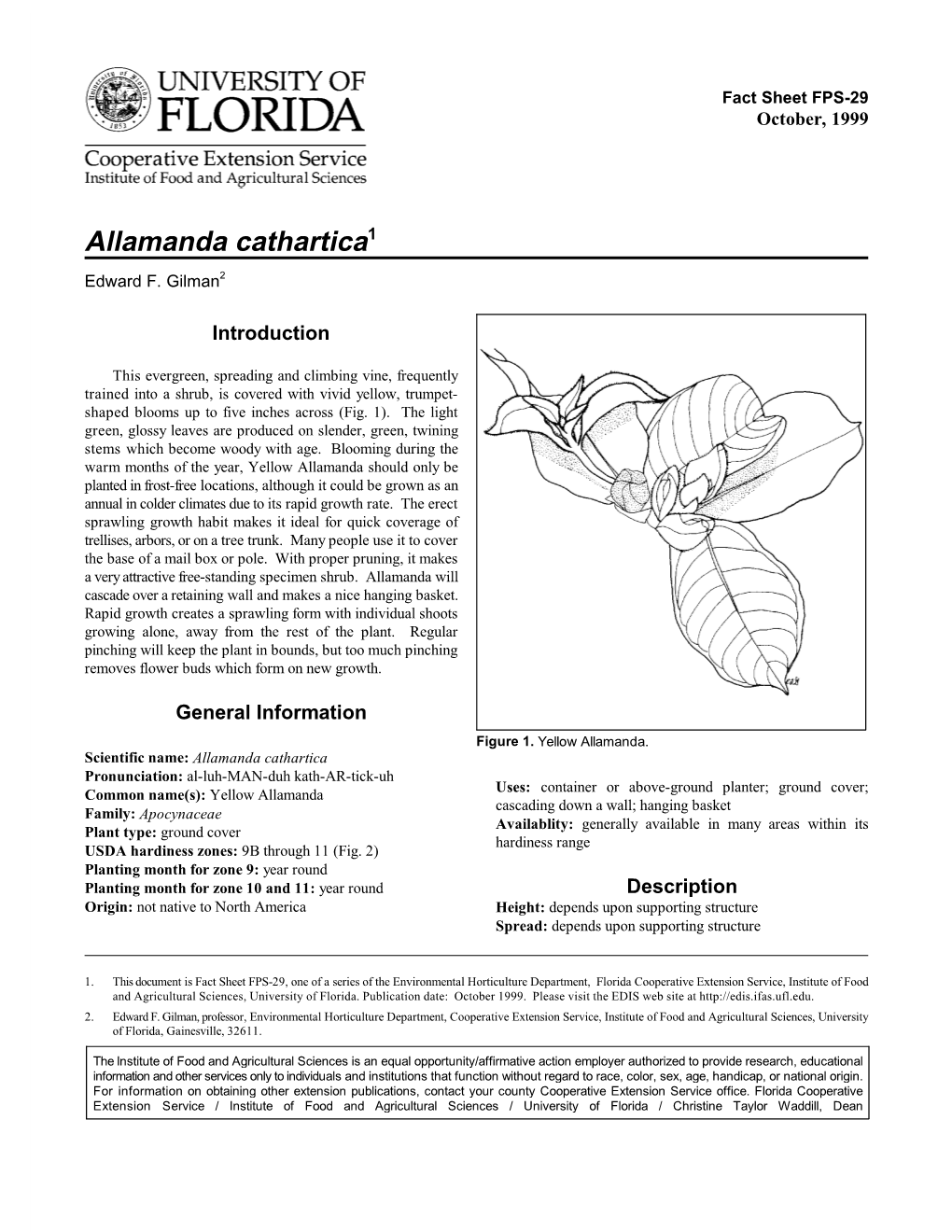 Allamanda Cathartica1