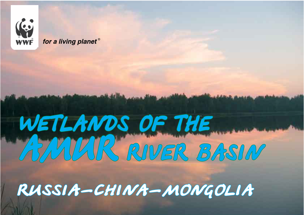 WETLANDS of the AMUR RIVER BASIN RUSSIA-CHINA-MONGOLIA O O O 110 120O 130 140