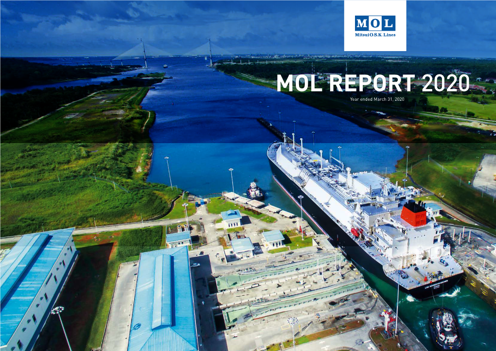Mol Report 2020