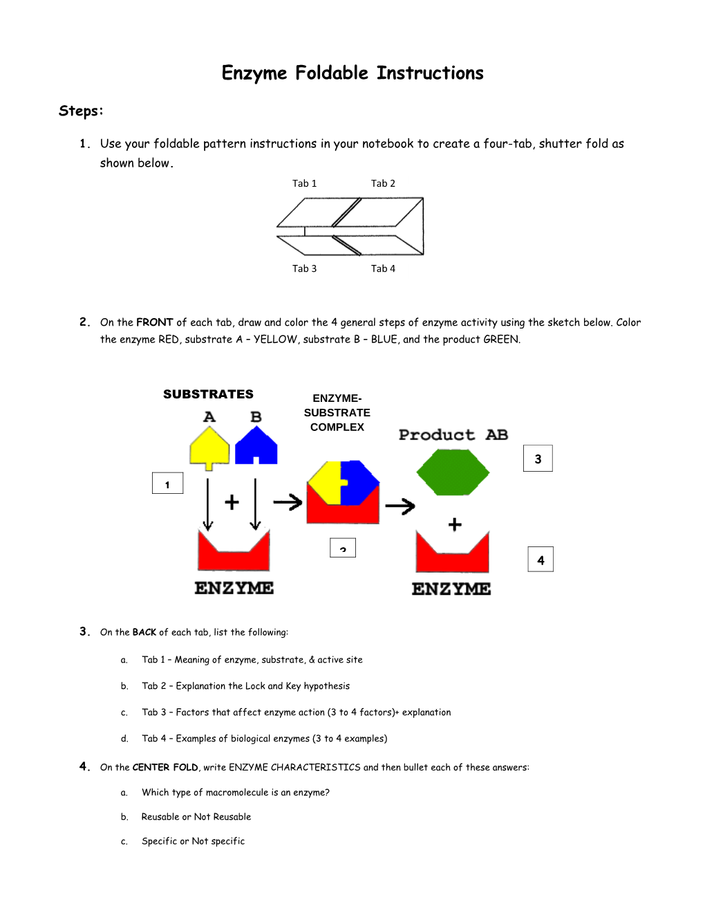 Enzyme Foldable Instructions