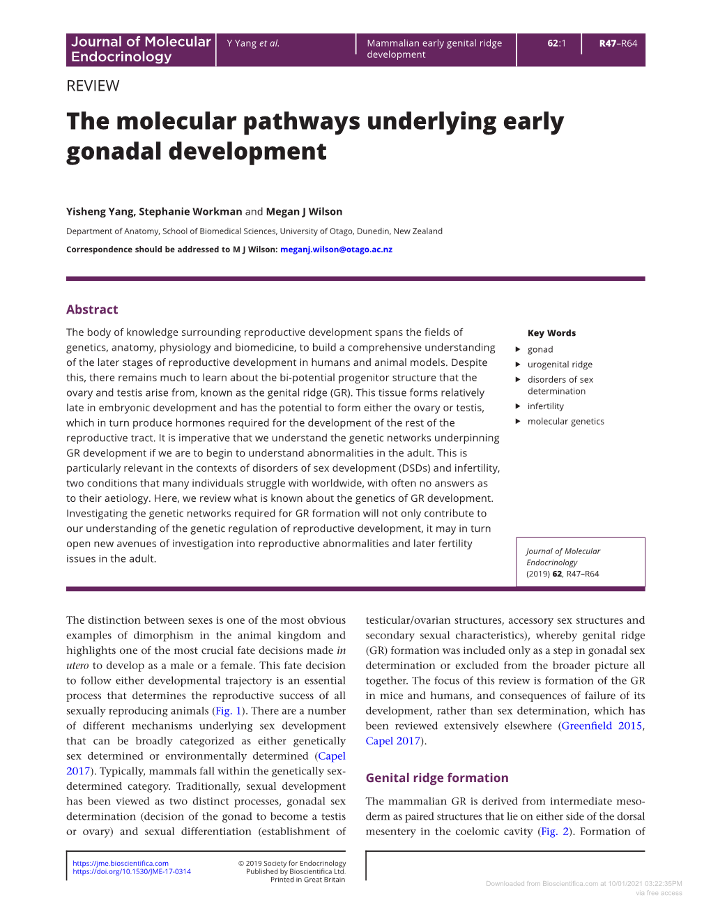 The Molecular Pathways Underlying Early Gonadal Development