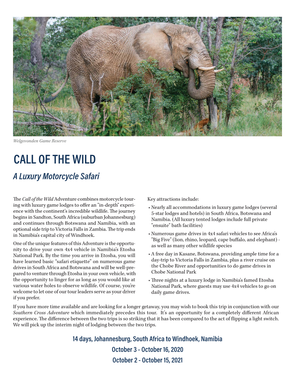 CALL of the WILD a Luxury Motorcycle Safari