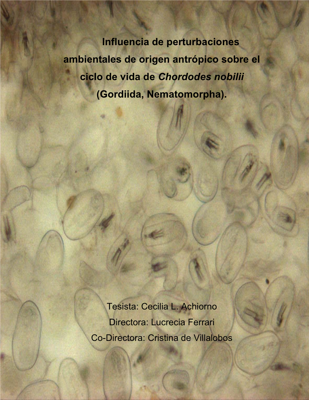 Gordiida, Nematomorpha