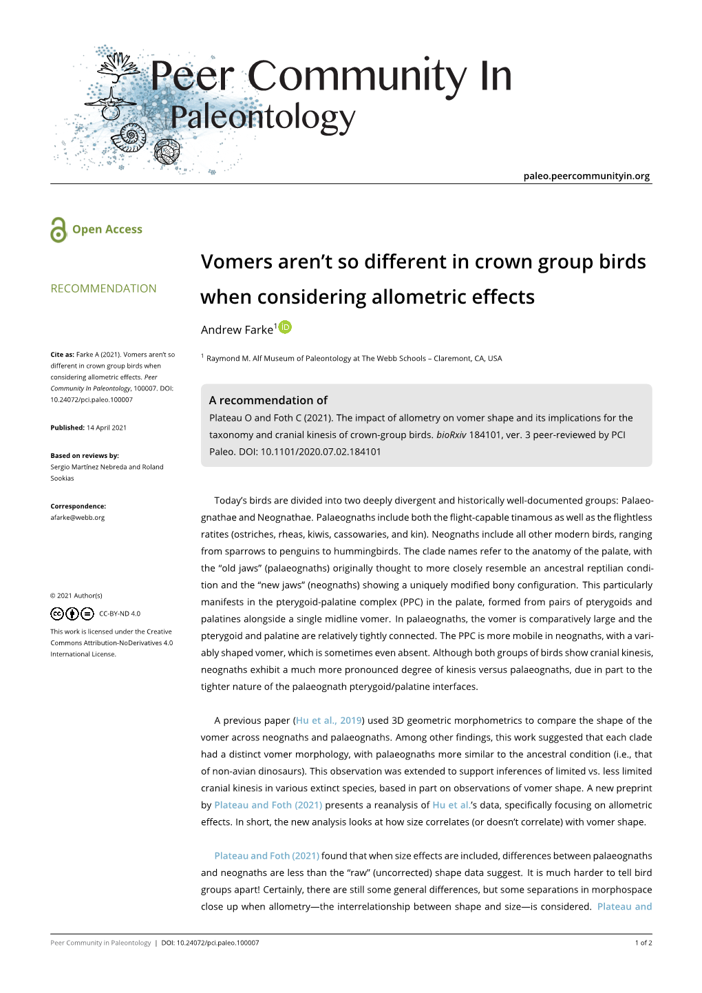 Vomers Aren't So Different in Crown Group Birds When Considering