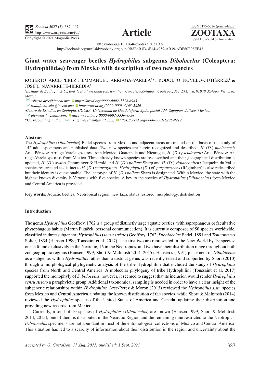 Giant Water Scavenger Beetles Hydrophilus Subgenus Dibolocelus (Coleoptera: Hydrophilidae) from Mexico with Description of Two New Species