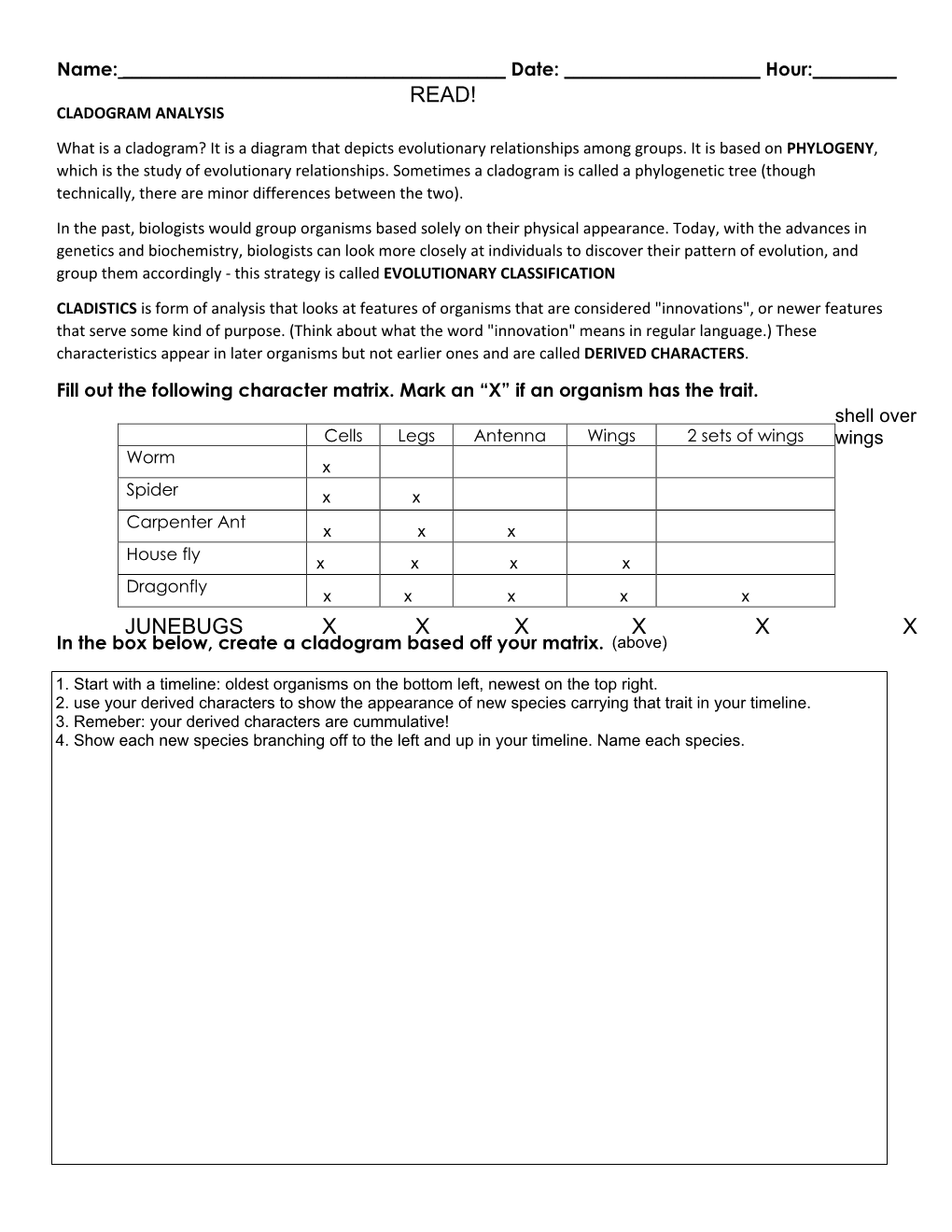 Cladogram Worksheet