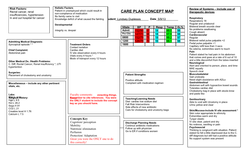 Care Plan Concept Map