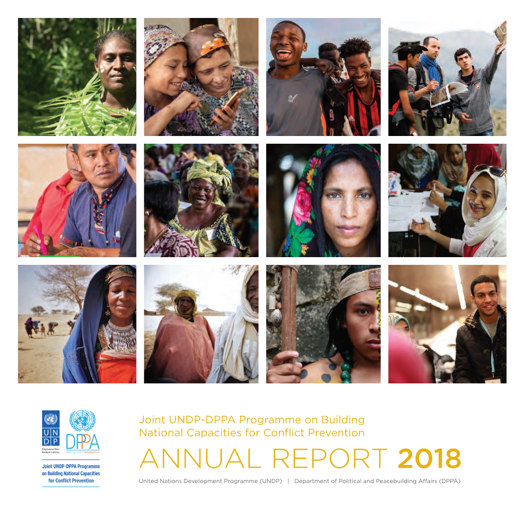 Joint Programme Annual Report 2018