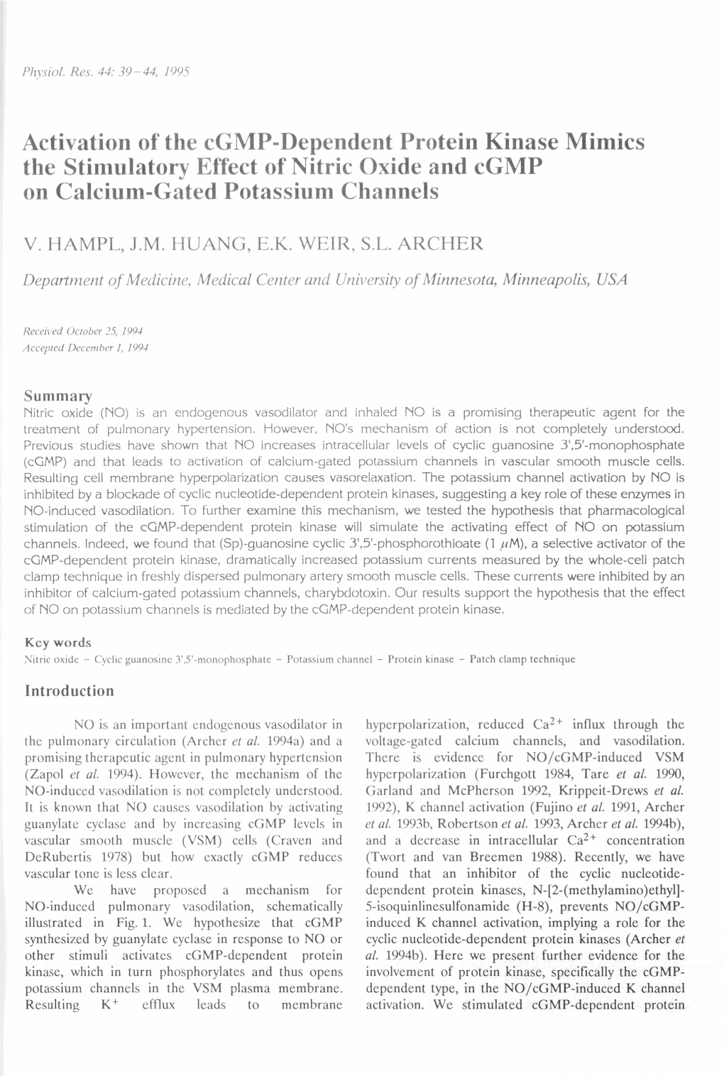 Activation of the Cgmp-Dependent Protein Kinase Mimics the Stimulatory Effect of Nitric Oxide and Cgmp on Calcium-Gated Potassium Channels