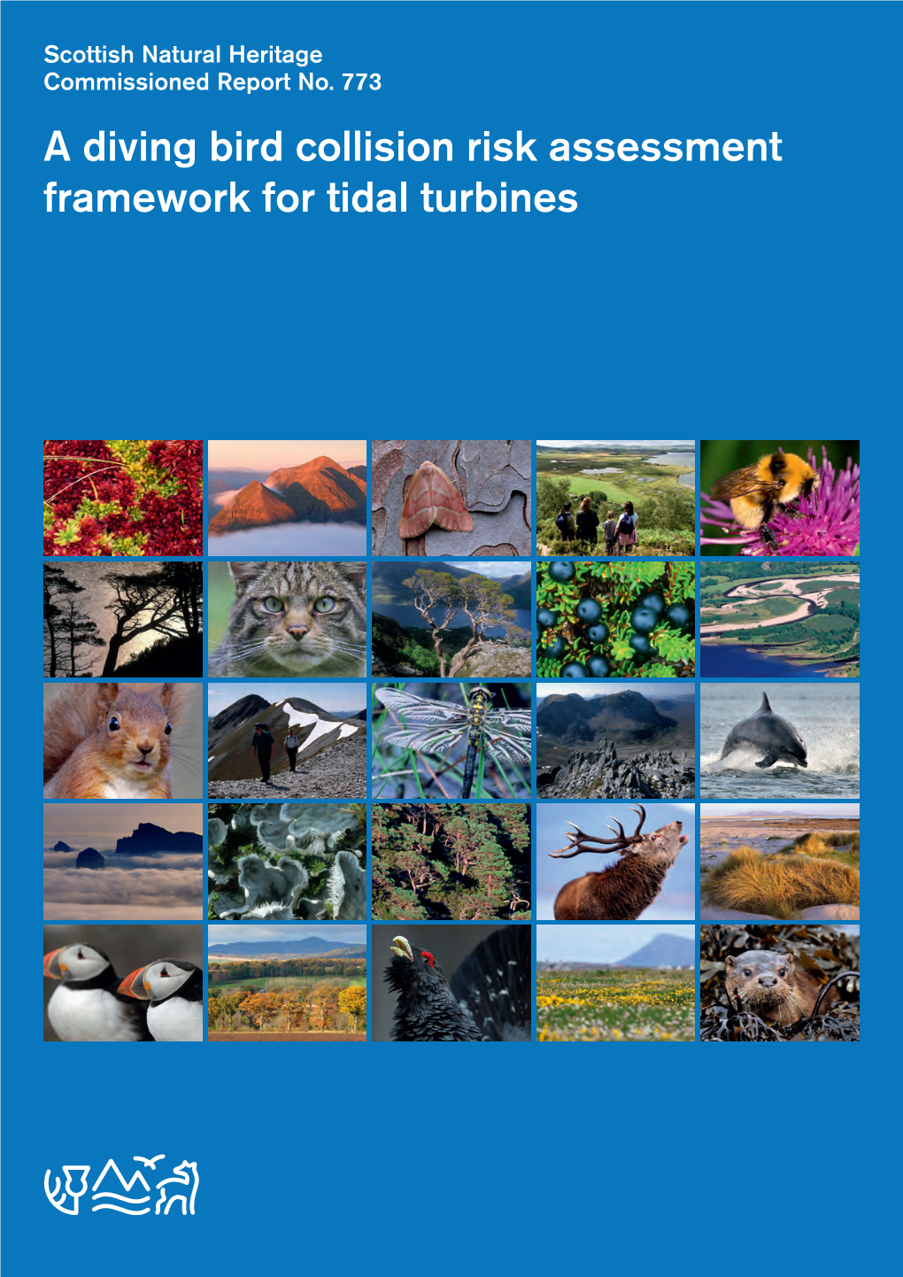 A Diving Bird Collision Risk Assessment Framework for Tidal Turbines