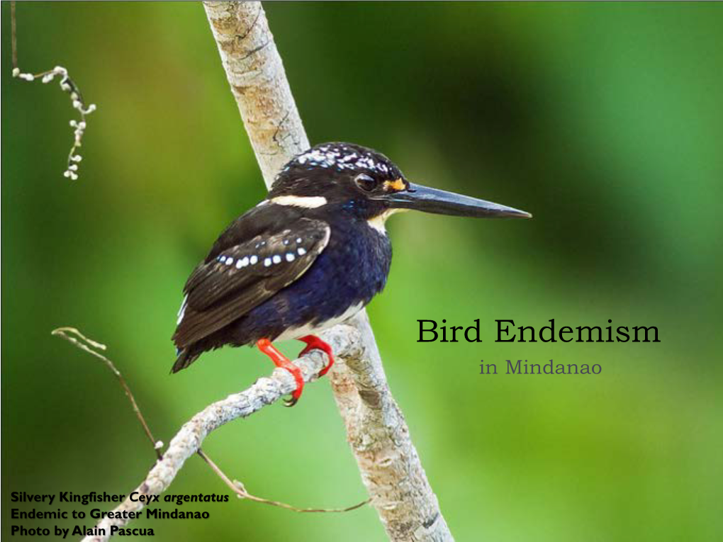 Endemism in Mindanao