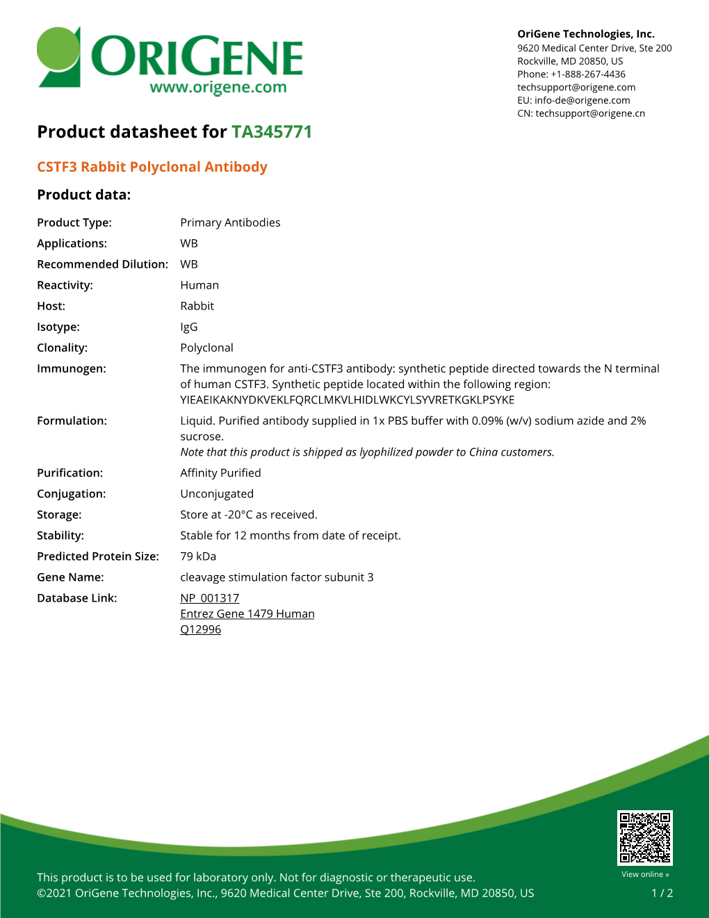 CSTF3 Rabbit Polyclonal Antibody – TA345771 | Origene