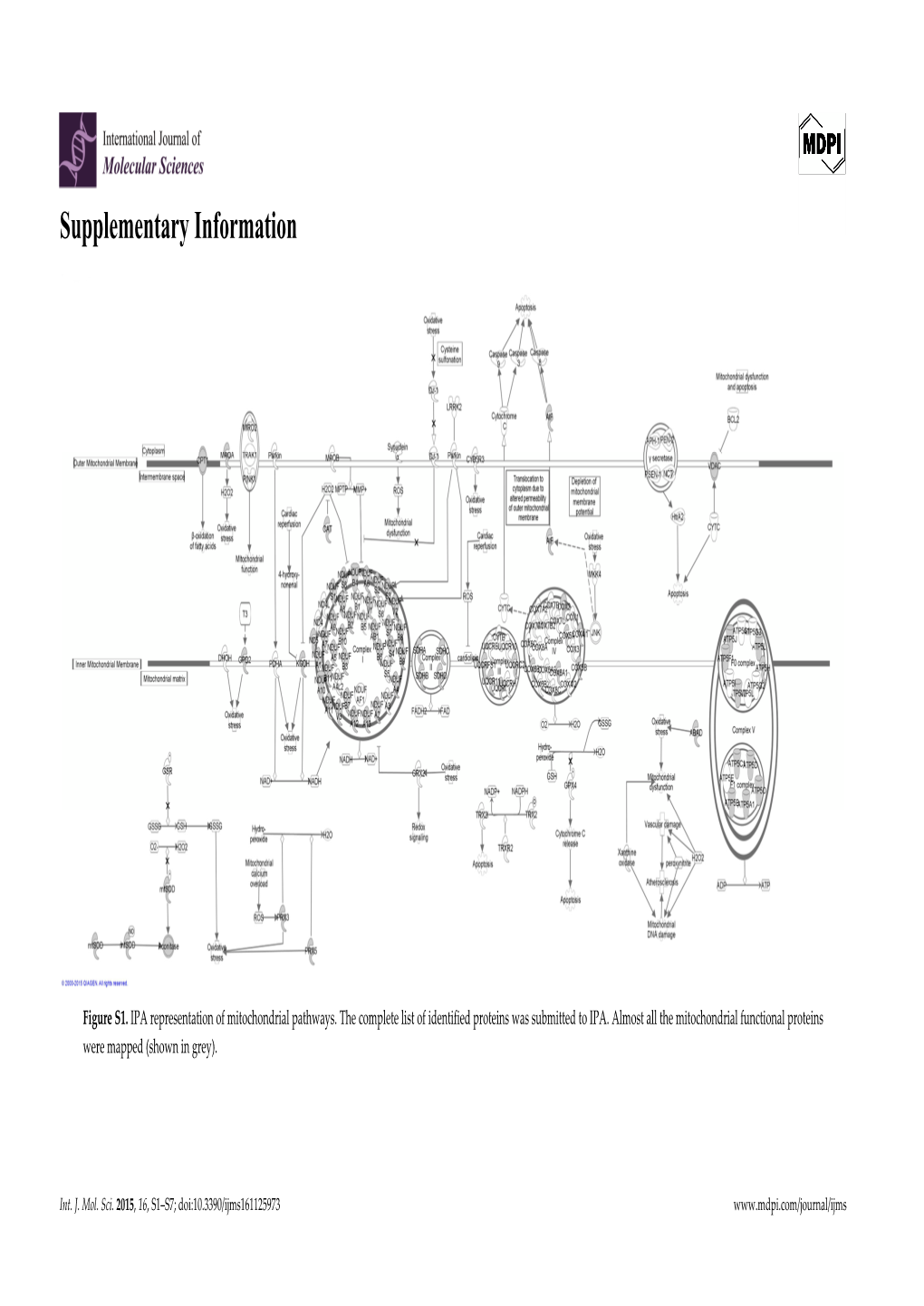 Supplementary Information