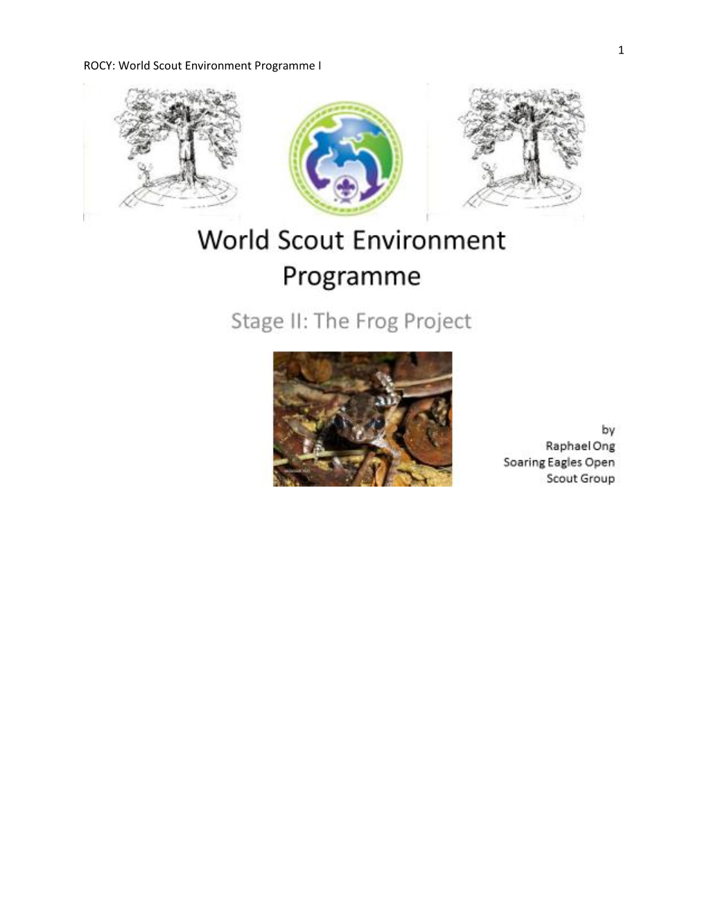 World Scout Environment Programme I
