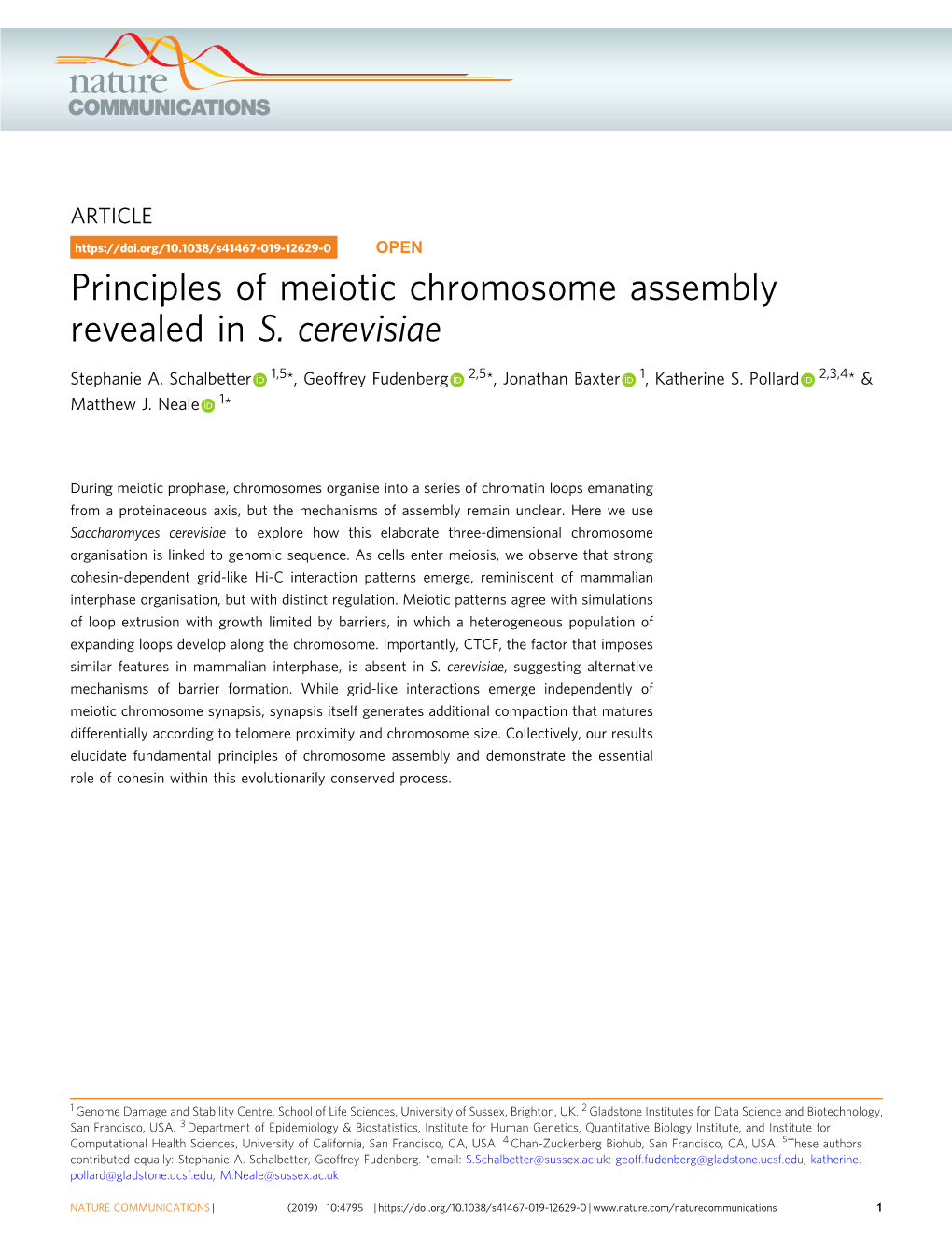 Principles of Meiotic Chromosome Assembly Revealed in S. Cerevisiae