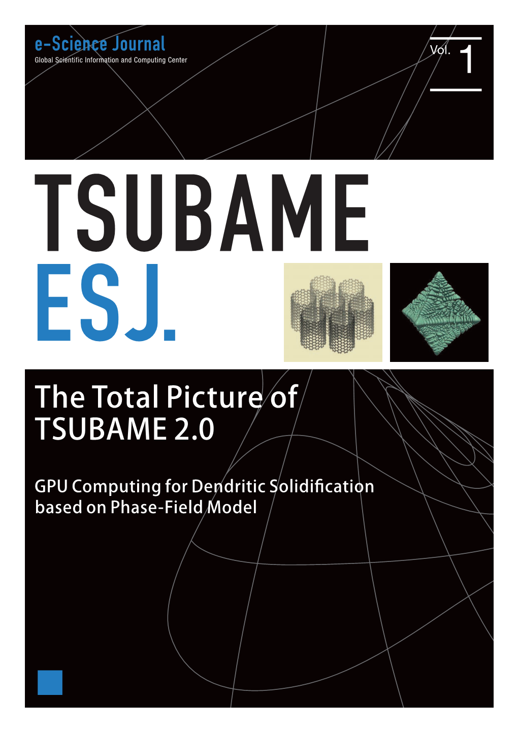 The Total Picture of TSUBAME 2.0