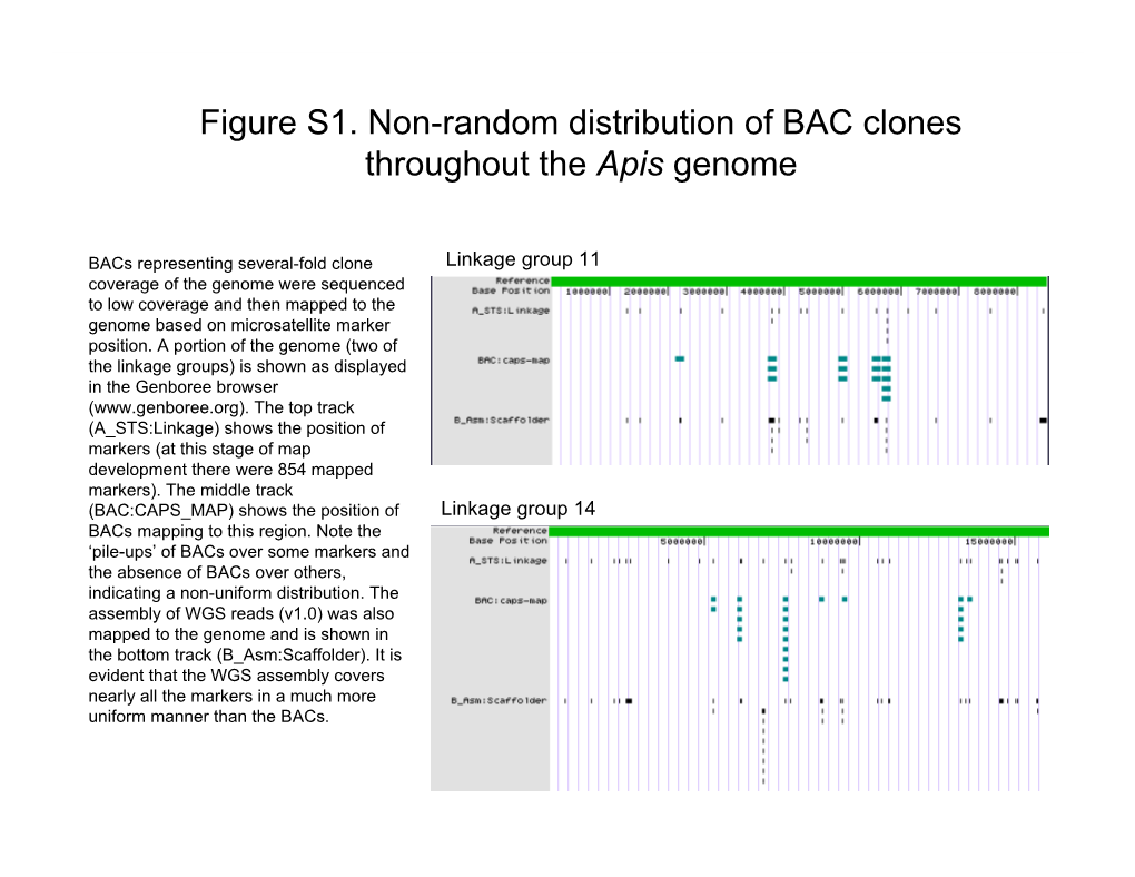 Figure S1. Non-Random Distribution of BAC Clones Throughout the Apis Genome