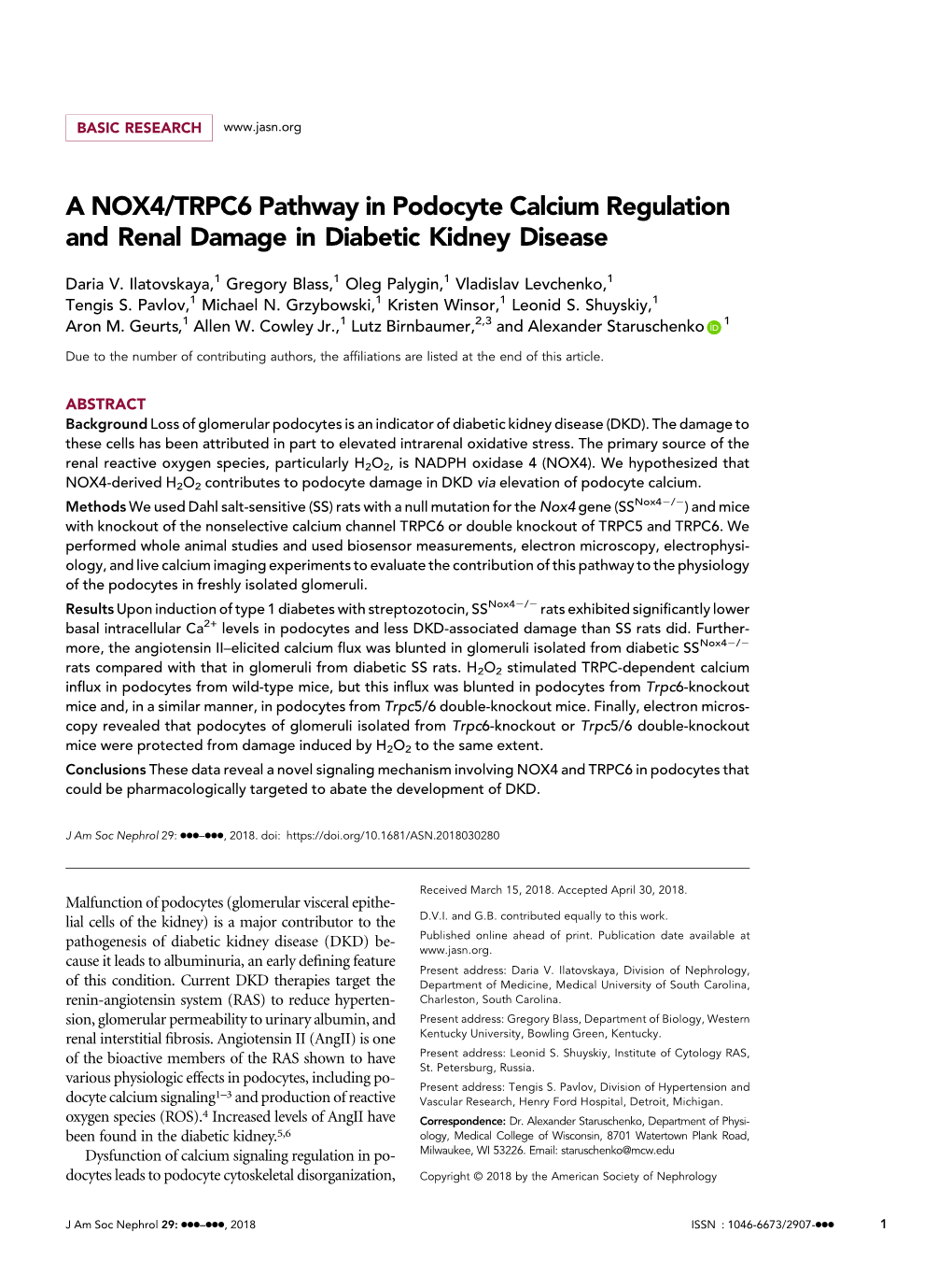 A NOX4/TRPC6 Pathway in Podocyte Calcium Regulation and Renal Damage in Diabetic Kidney Disease