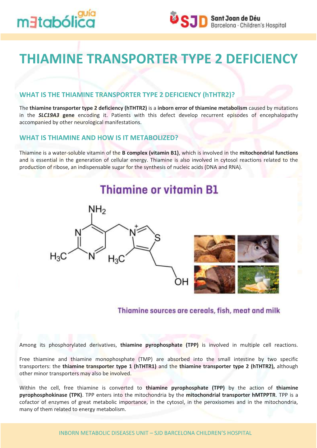 Thiamine Transporter Type 2 Deficiency