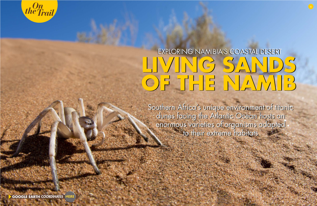 Namibia’Snamibia’S Coastalcoastal Desertdesert Livingliving Sandssands Ofof Thethe Namibnamib