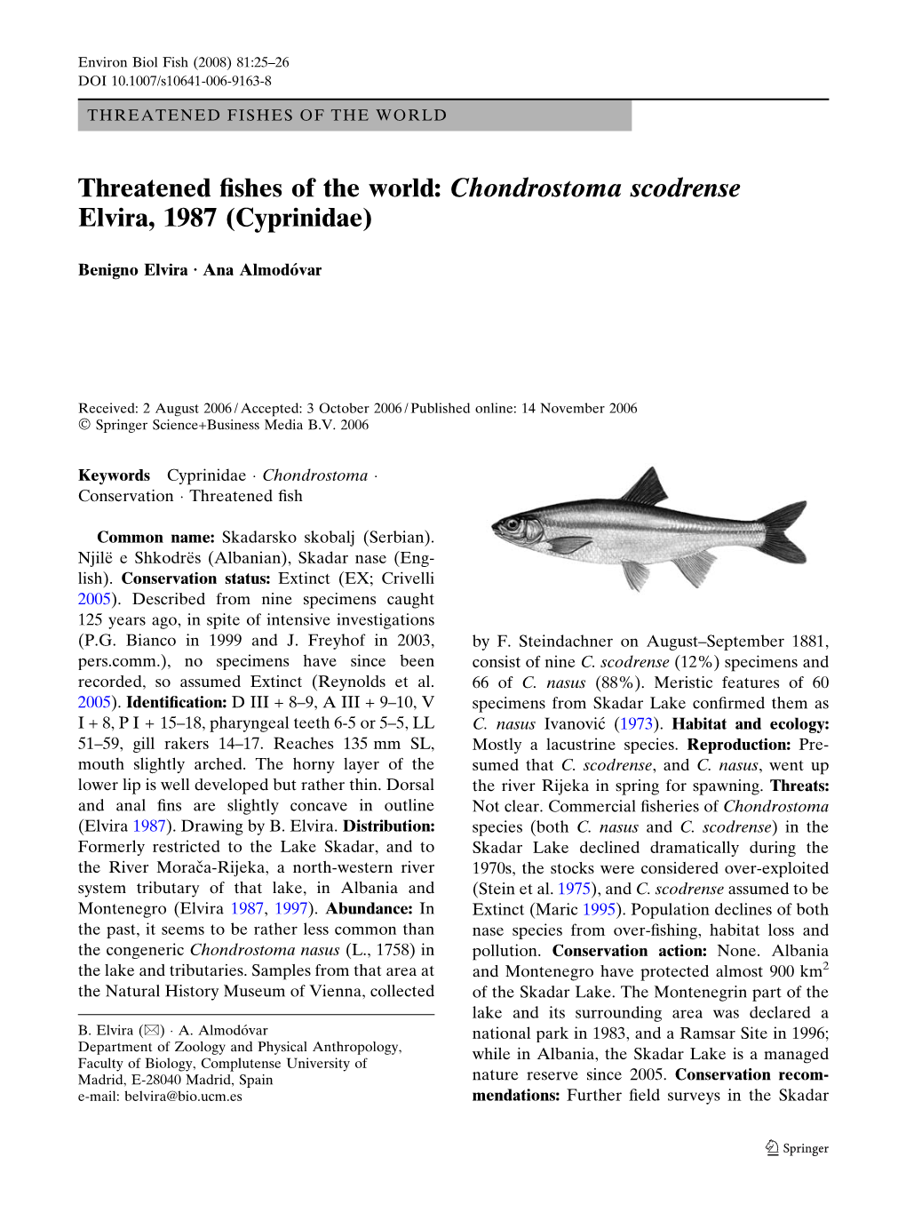 Chondrostoma Scodrense Elvira, 1987 (Cyprinidae)