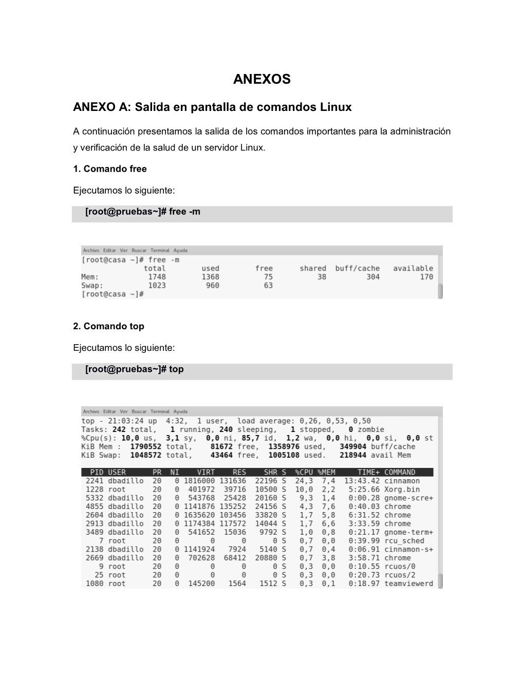 ANEXO A: Salida En Pantalla De Comandos Linux