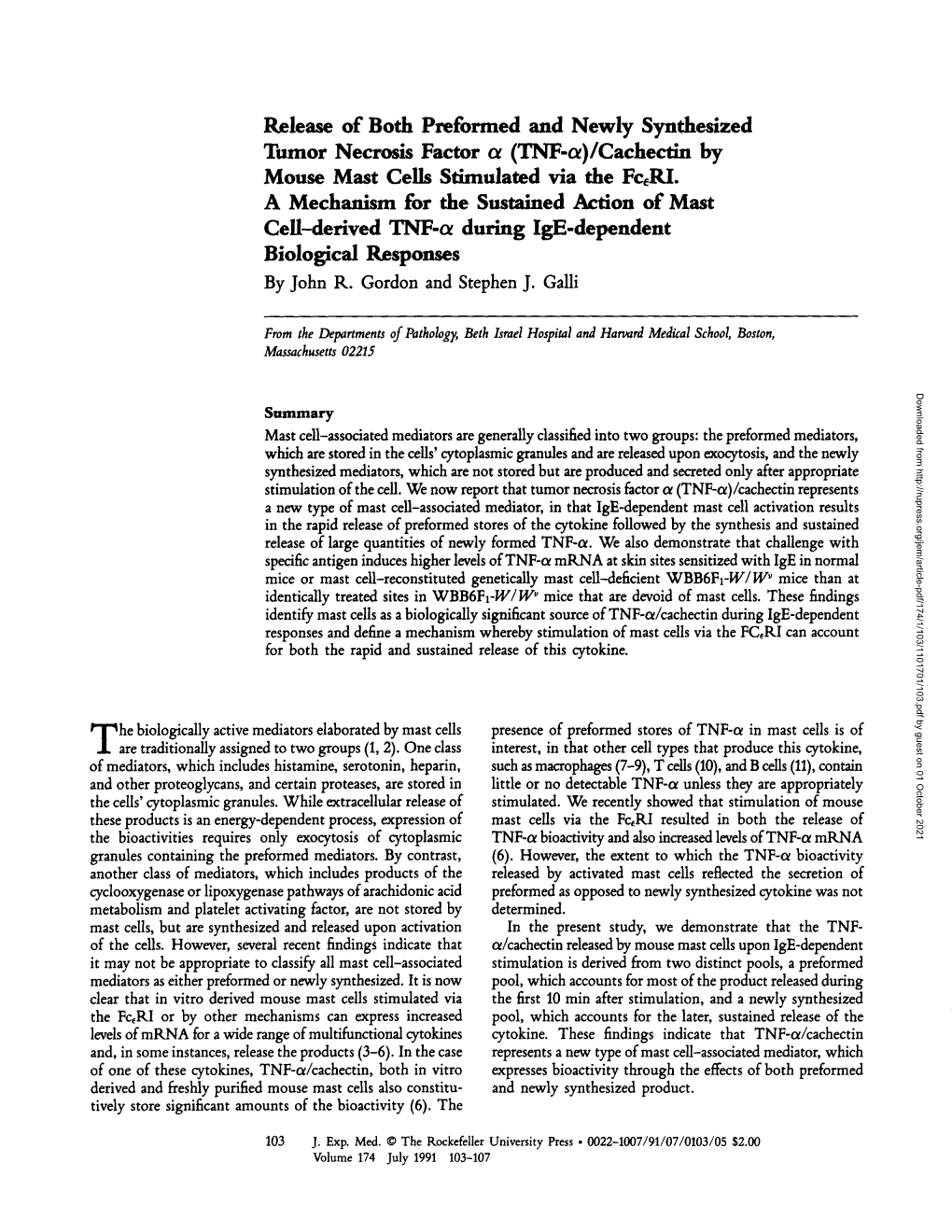 Cachectin by Mouse Mast Cells Stimulated Via the FCERI