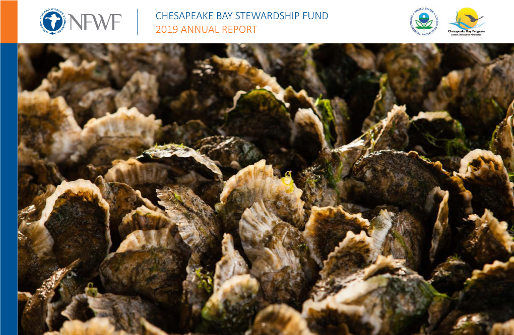 Chesapeake Bay Stewardship Fund 2019 Annual Report
