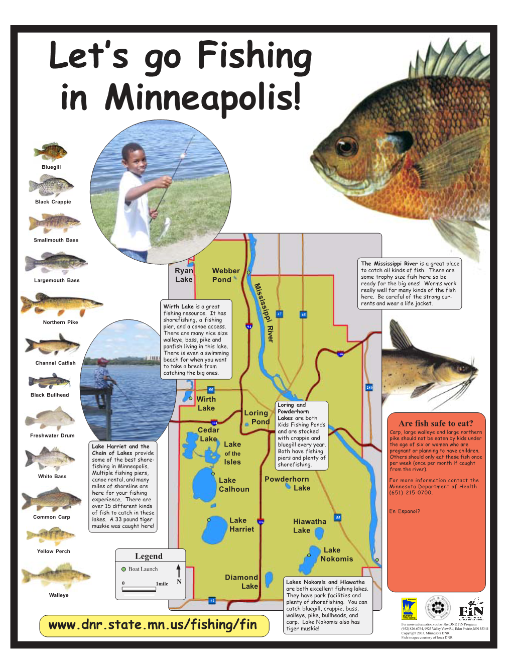 Let's Go Fishing in Minneapolis!