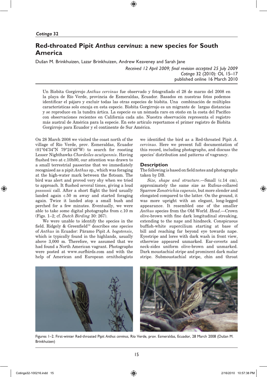 Red-Throated Pipit Anthus Cervinus: a New Species for South America Dušan M