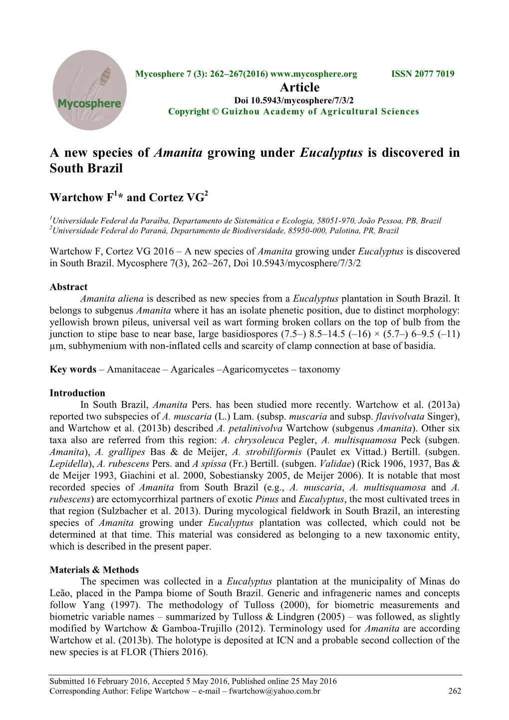 A New Species of Amanita Growing Under Eucalyptus Is Discovered in South Brazil