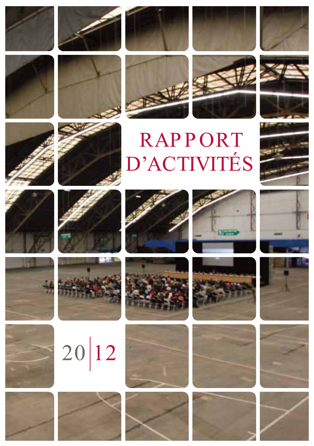 Rapport D'activité 2012