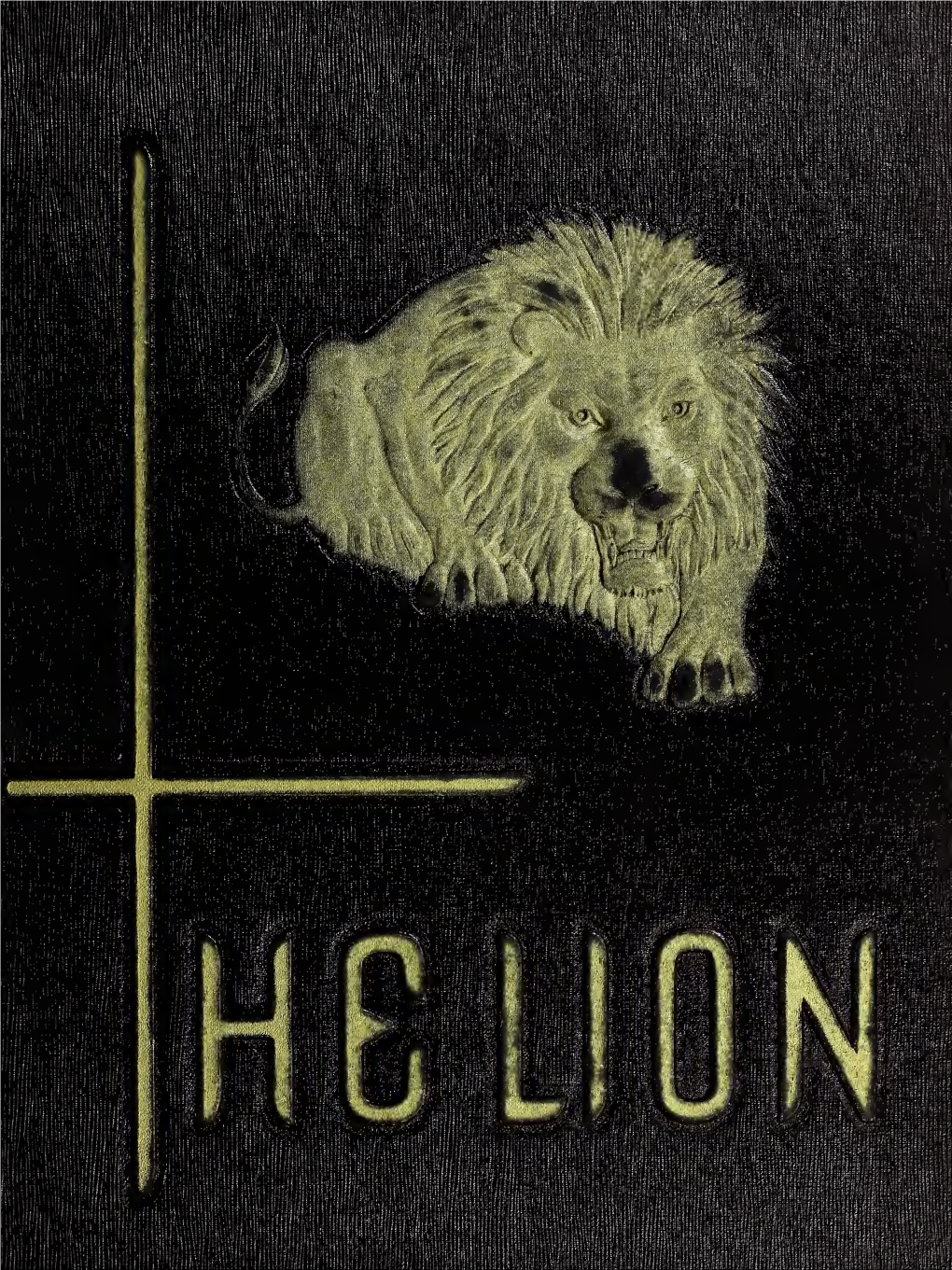 The Lion [1966]