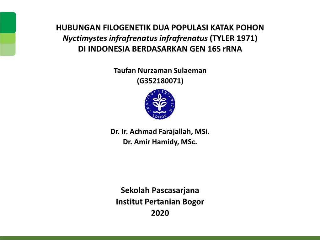 HUBUNGAN FILOGENETIK DUA POPULASI KATAK POHON Nyctimystes Infrafrenatus Infrafrenatus (TYLER 1971) DI INDONESIA BERDASARKAN GEN 16S Rrna