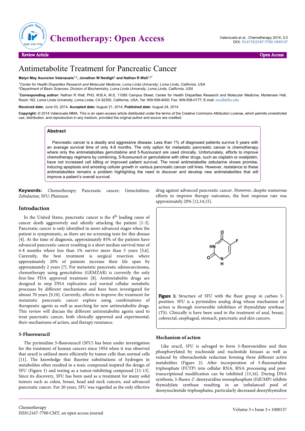 Antimetabolite Treatment for Pancreatic Cancer