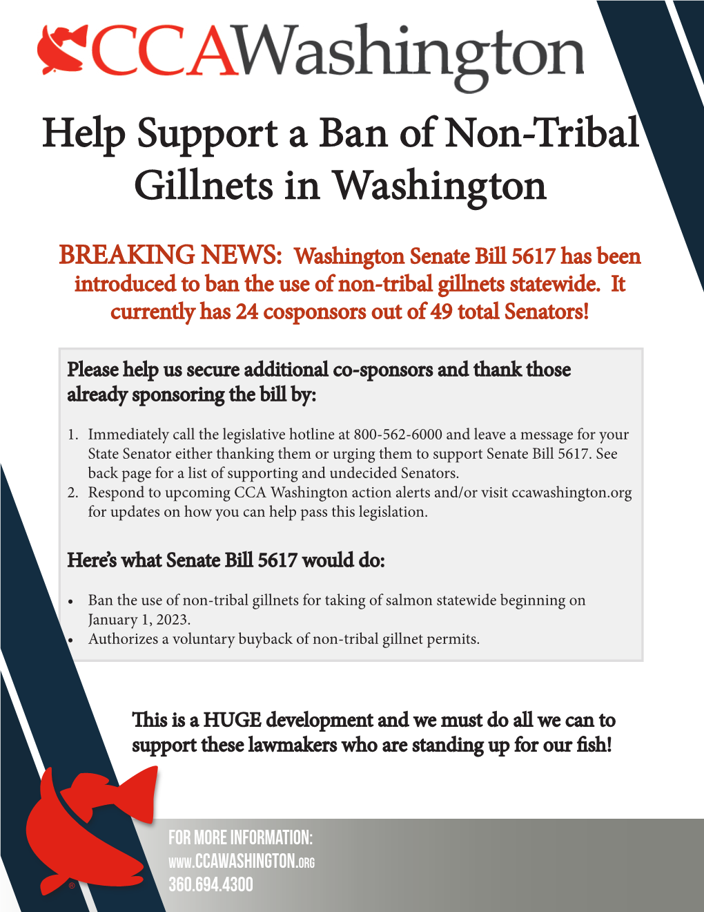 Help Support a Ban of Non-Tribal Gillnets in Washington