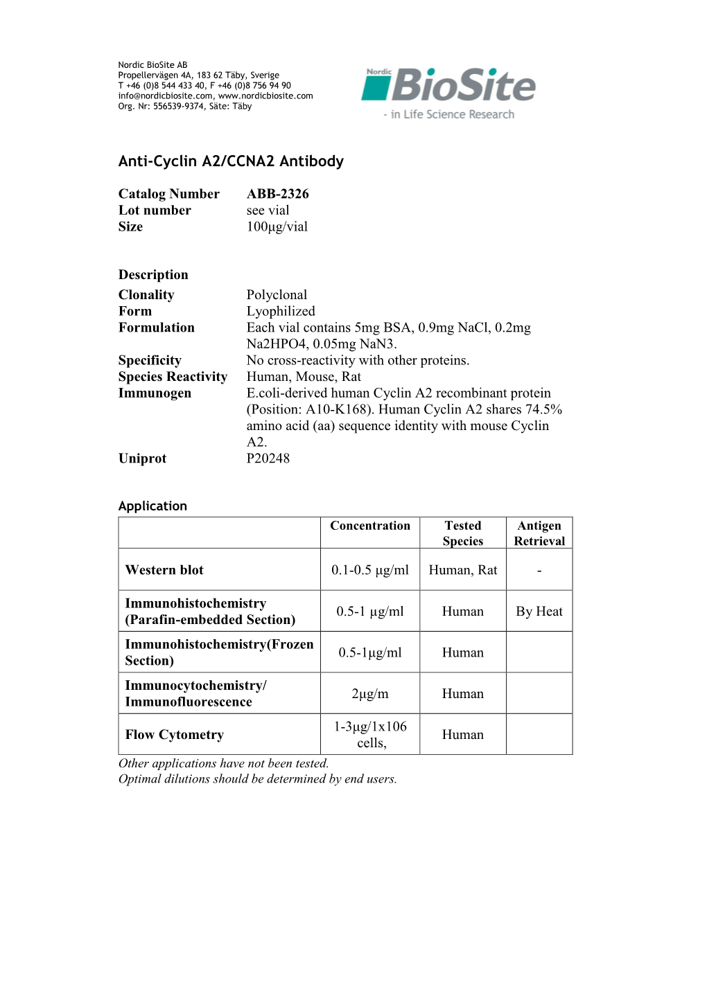 Anti-Cyclin A2/CCNA2 Antibody