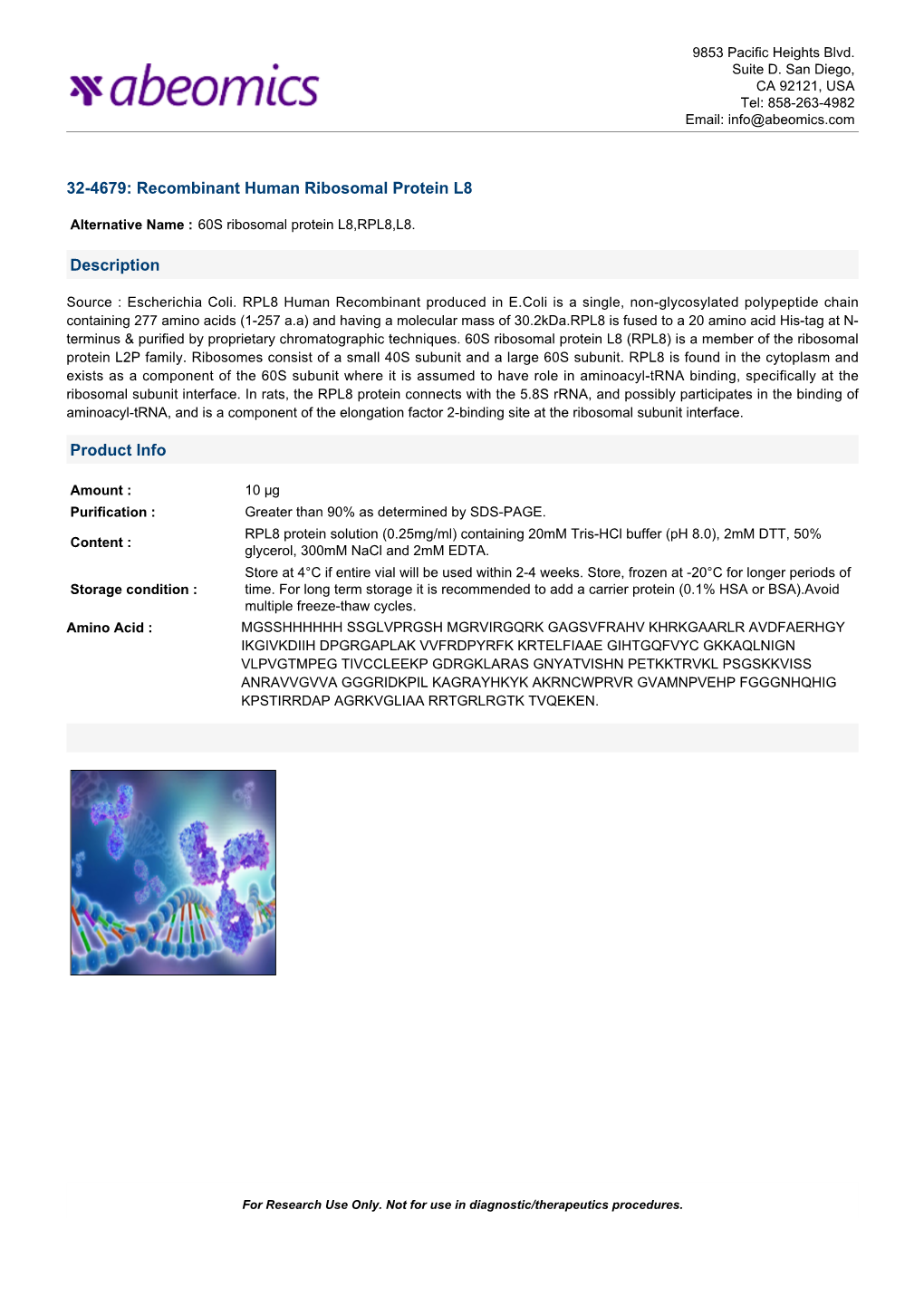 Recombinant Human Ribosomal Protein L8 Description
