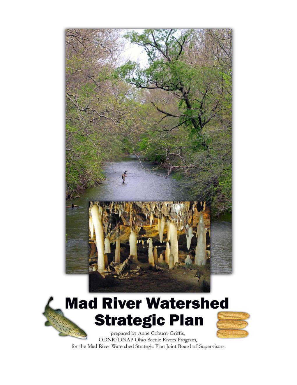 Mad River Watershed Strategic Plan