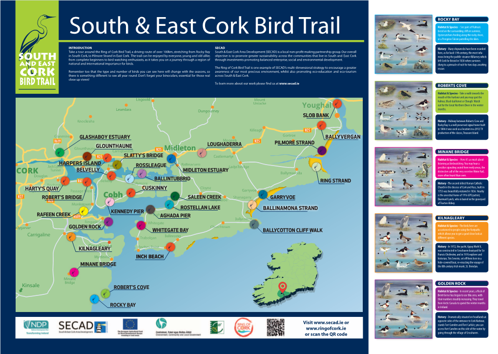 South & East Cork Bird Trail